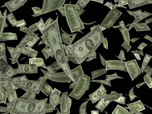 Read more about the article The cost of free software in the enterprise operating environment